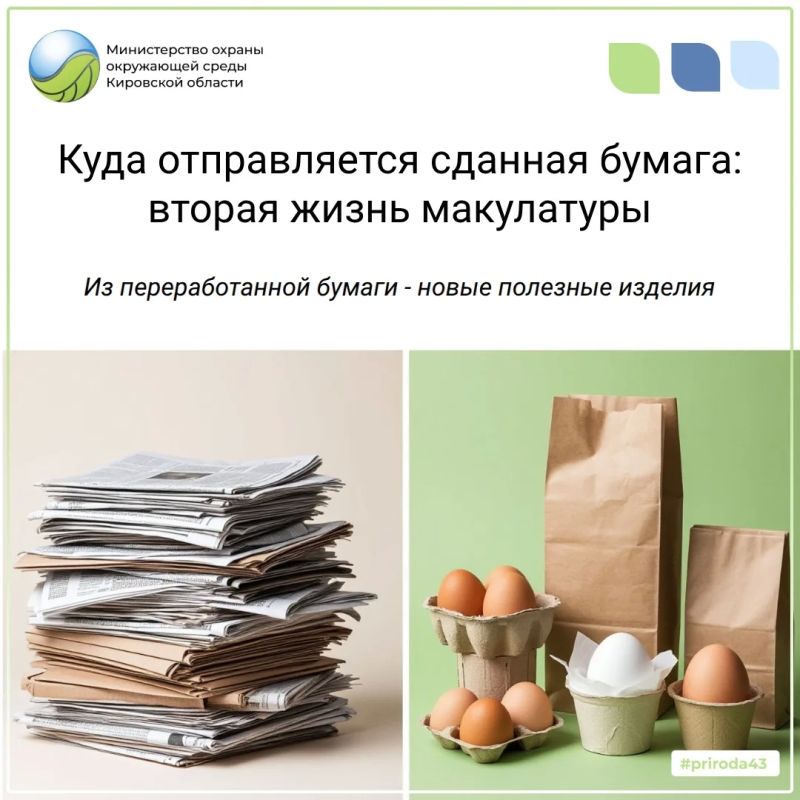 Куда отправляется сданная бумага: вторая жизнь макулатуры