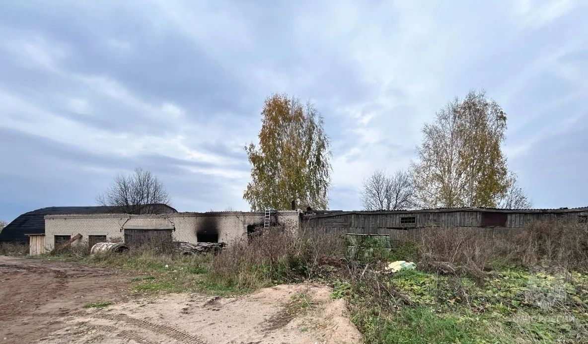 Виновник пожара на складе заплатит крупный штраф Виновник пожара на складе заплатит крупный штраф