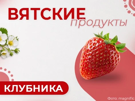 В продолжении рубрики Вятские продукты: клубника – польза для здоровья и ягодное фермерство Кировской области