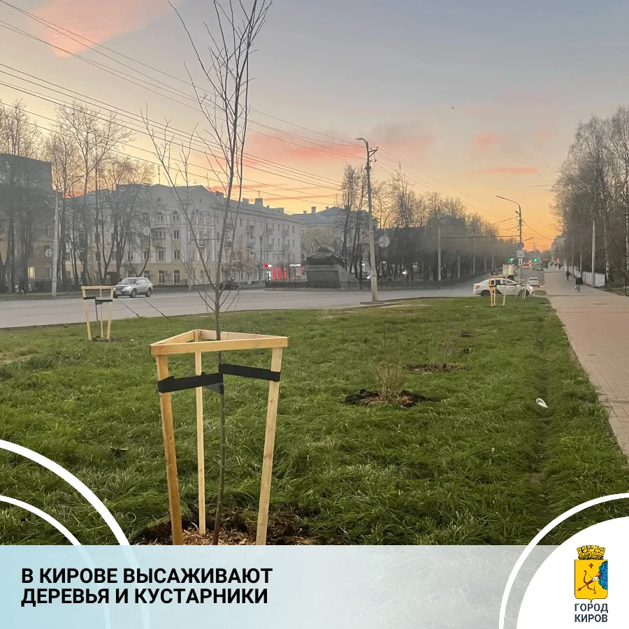 Специалисты отдела зеленого строительства дирекции благоустройства продолжают высаживать зеленые насаждения