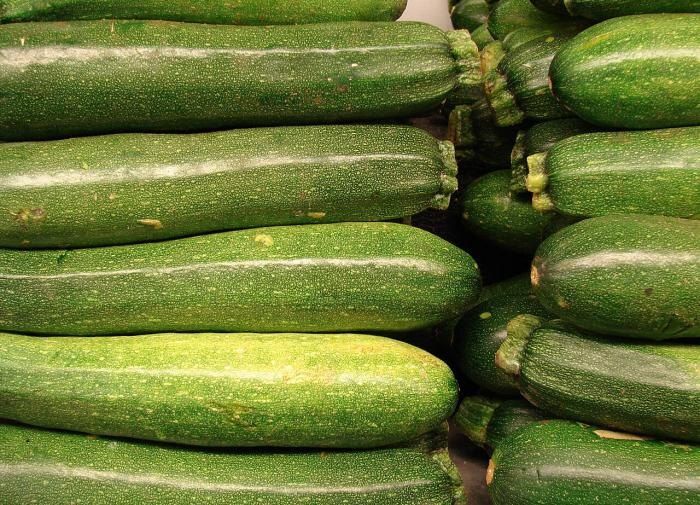 Разбираемся в секретах успешного роста кабачков