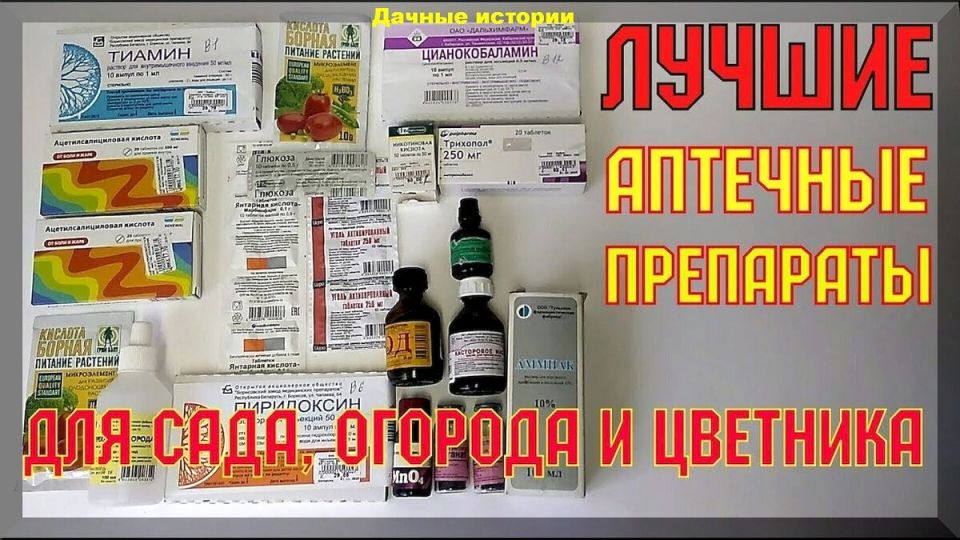 Капсулы здоровья для вашего сада: аптечные средства в борьбе за урожай