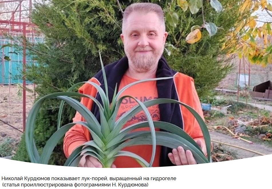 Секреты быстрого роста рассады: советы от агронома на все времена