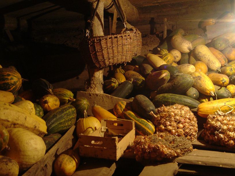 ��� ���������� �������� � �������� � �������