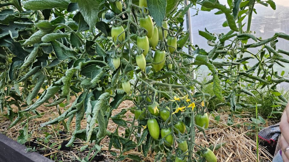 �������� ������� �� ����: ��� ����� �������, ����� �������� ������ �����?