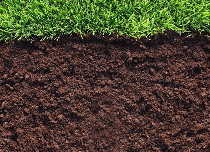 ����������� ��������������� �����: ��� ������ �������� ��������� �������� ����� ��������