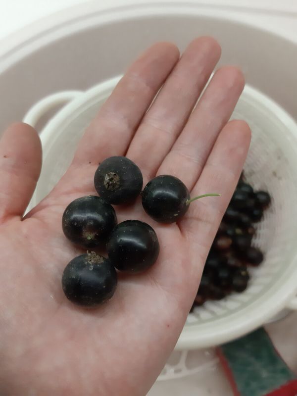 ��� ���������� � ��������� � ����: �������������� ������ ������