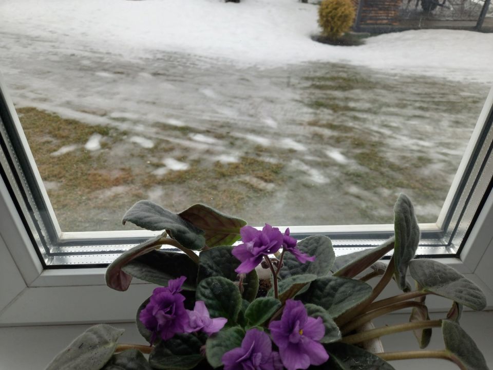 �������� ������� �� ���� � �����: ������ ���������� ������ ���