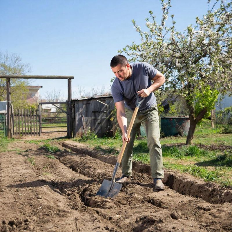 Осенняя перекопка огорода: выбора нет, или есть?