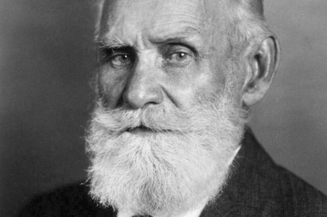 Как золотые правила питания Ивана Павлова могут изменить наше здоровье