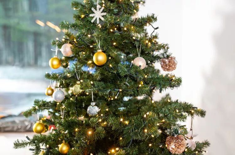 ��� ����������� ������������� ���� � ����������: �������� ������