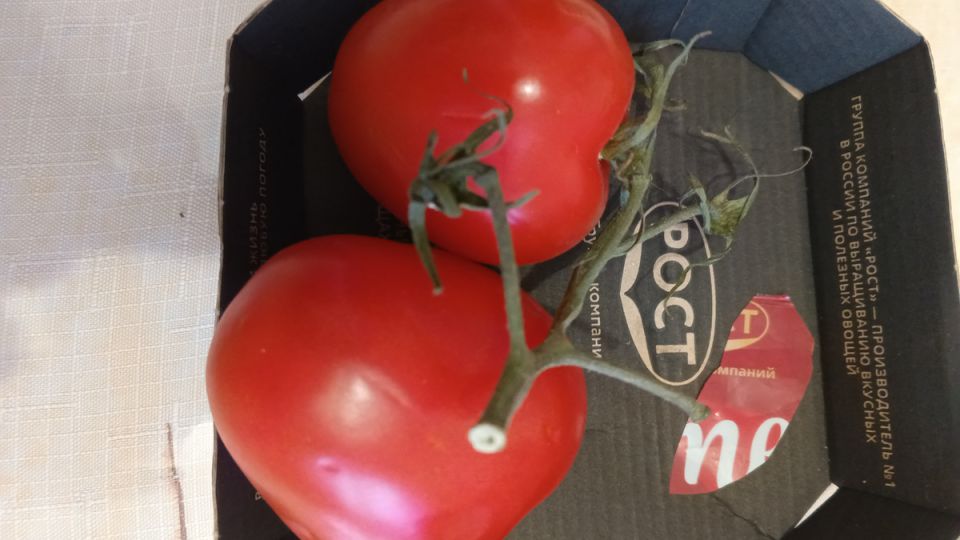 ������ ��������: ������ �������� versus ���������� �����