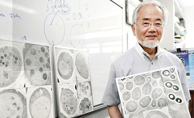 ���� �������: ��� ����� ������ � ������� �������� ��������� �������� � �������� ��������