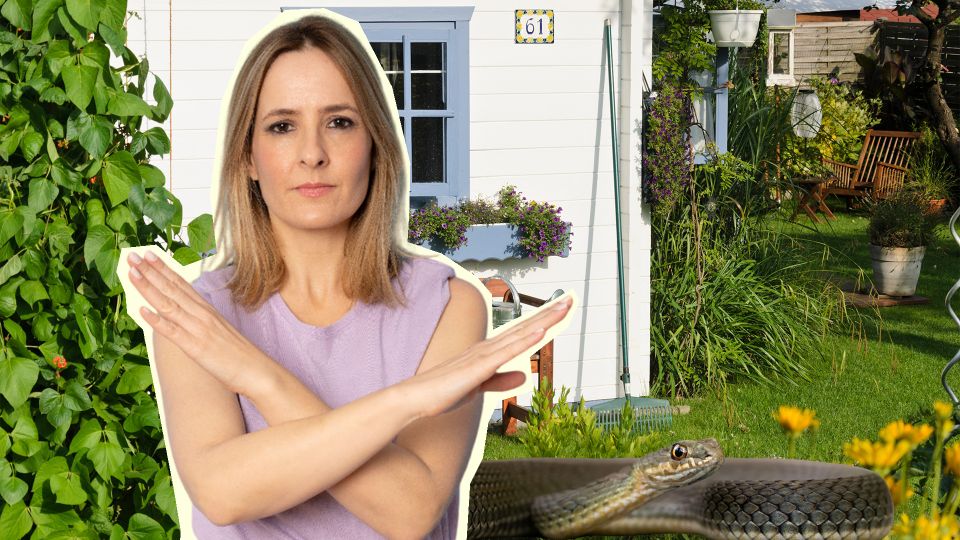 ��������, ��� ������ ������� �����: ��� ��� �������� ���� ������� �� ����