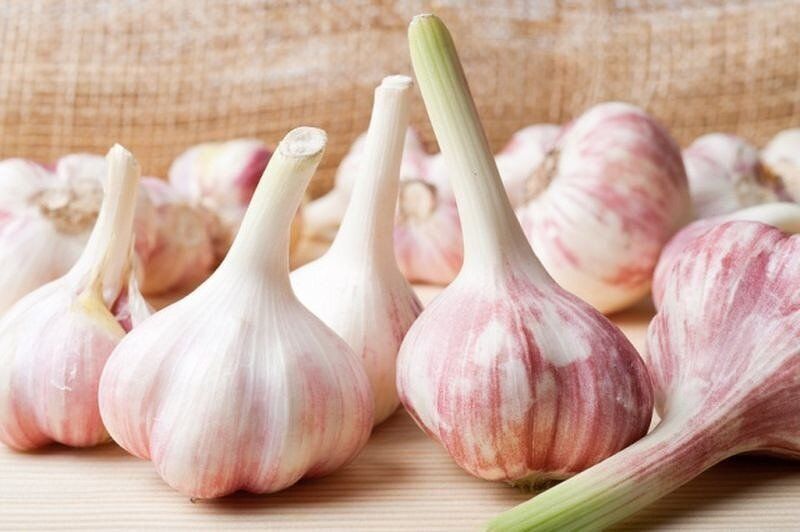 ��� �������� ������: ������� ��������� �������� ������