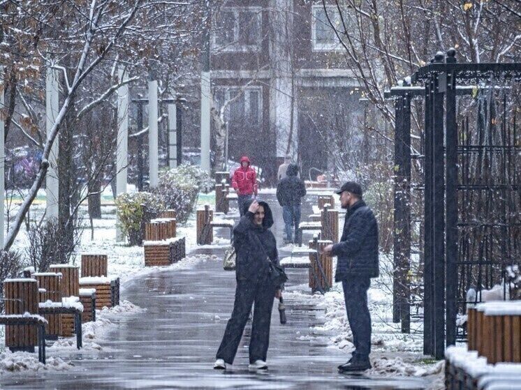 ����� �� ����������: ��� �������� �������� �����������