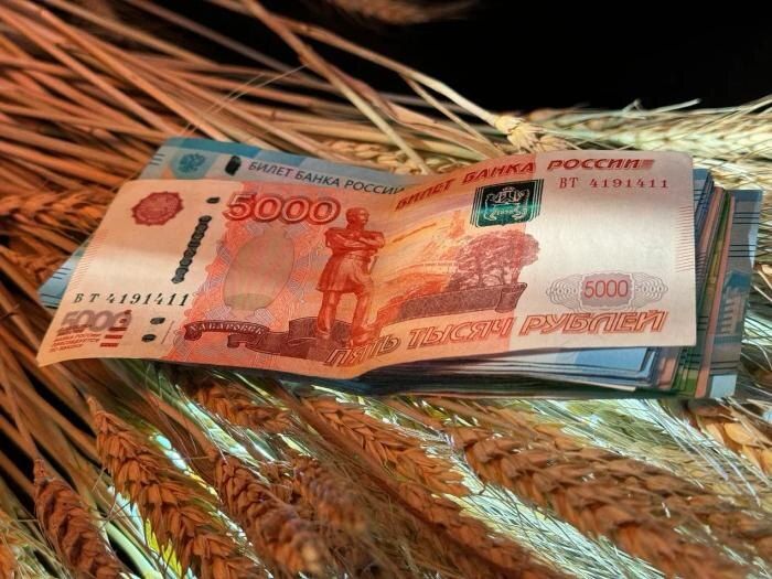 ��� �������� ��������� �������� ���� ������� � 2026 ����