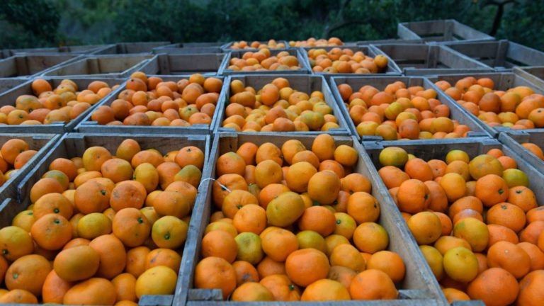 ������� ��������: ������������ ����� � ������� �������� �������