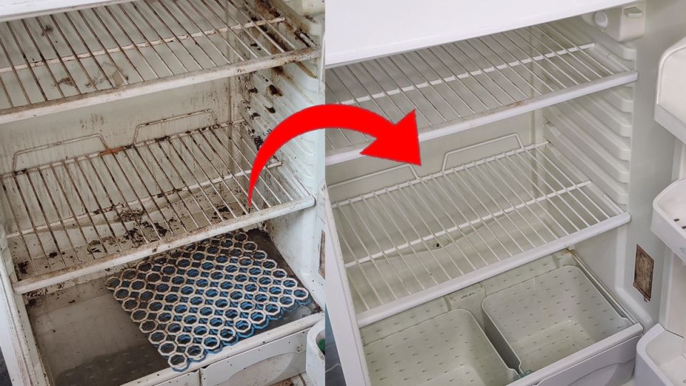 ����������� ������� ������� ������������