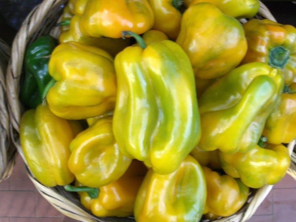 ������������ � ������� ������: �������� ������, ������� ����� ��������