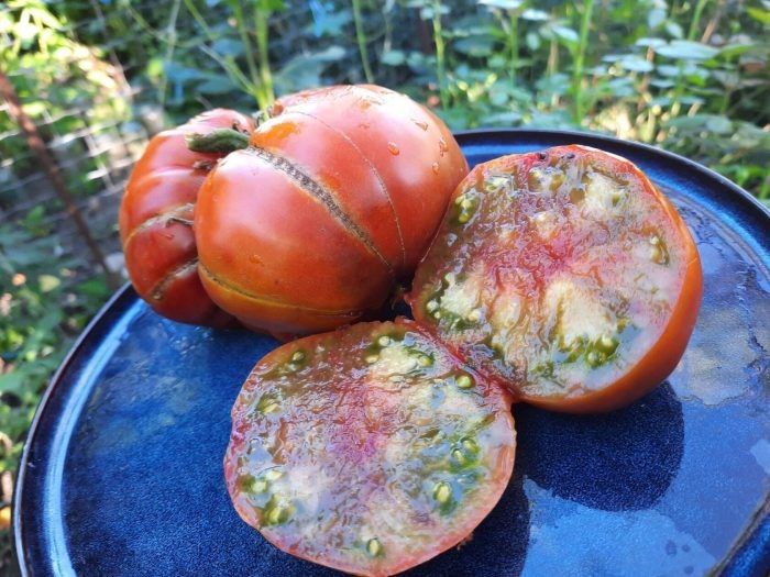 ������� � ����������� ����� ������� ������ 74