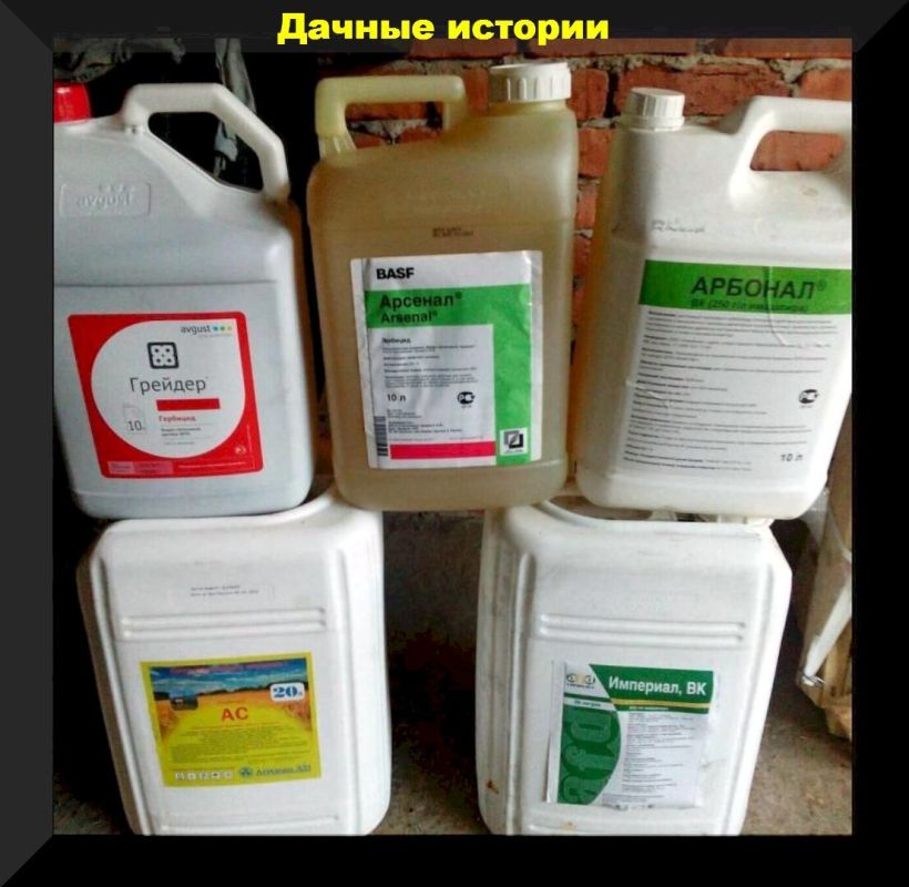 ����� ��������� ������ � ���������: ���������� ��������� ��� ���� � ���������� ���������?