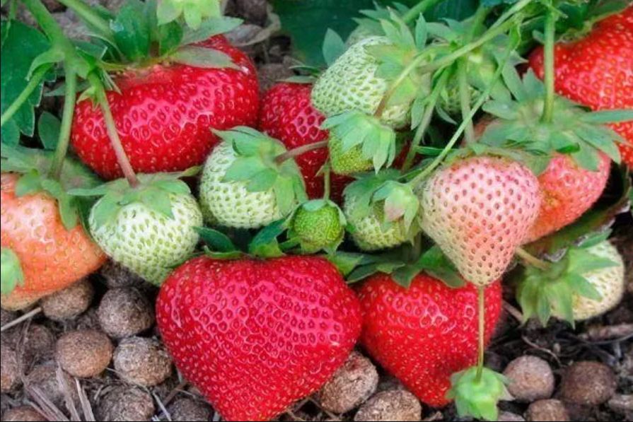 �������� � ������: ������� ��������� ����������� � ������� ������������� ��������