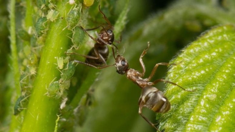 ��� ���������� ����� ������ ������ ������� ������ � ����������� � ����