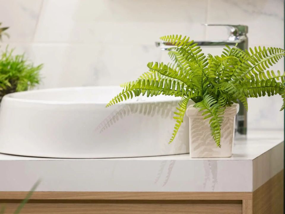 �������� ������� ����� � ������: ��������� �������� � ������� �����