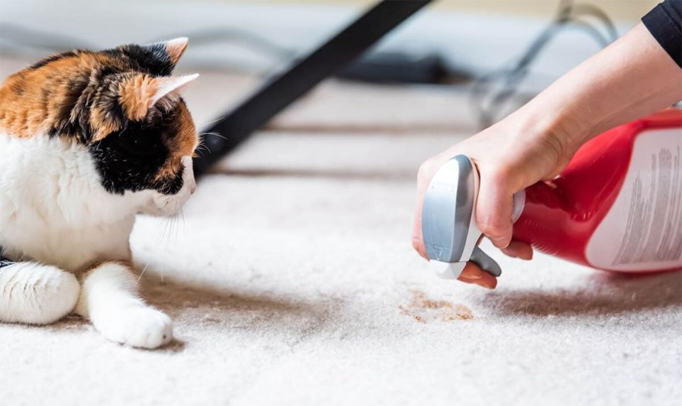 ������ ����� �������� ����� ��� ����� ����?