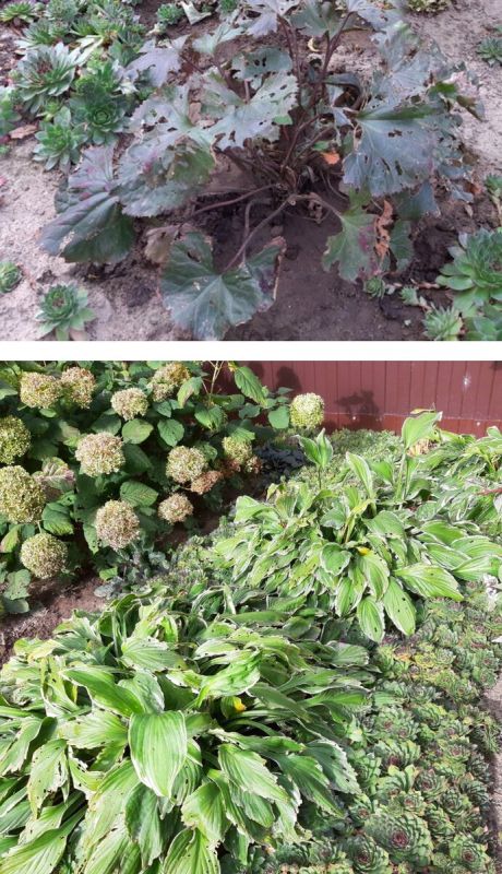 ����������� ������ �������� �� ������� � ������� �����