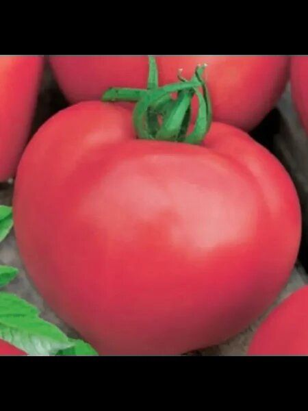 ����� ������� �������: ������� ����� � ������� ���� � ����� �������� ����