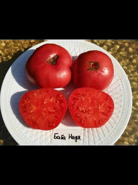 ����� ���� ����: ���������� ������������� ���� ��� ������� � ���������