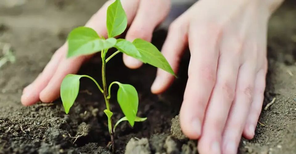 ������� ������� ��������� ��� ������ �������� �����