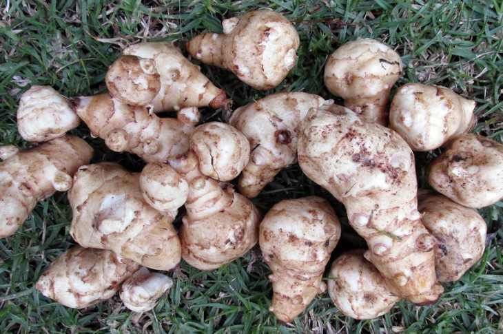 ��� ��������� �������� � ������� ����������: �� ���������� �� ���� �������