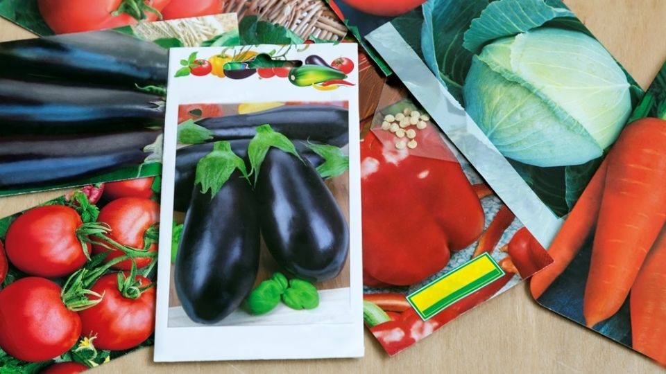 Как выбрать проверенные сорта овощей для сезона 2026 и зачем это важно