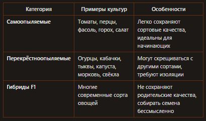 ������ � ����������� ������: ������� ����� � ��������