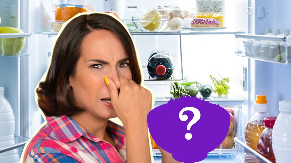 ����� �� ������������ �� ���������� �� ����: ��� ��� ������ � ���� ������ �������