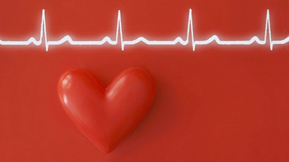 ������ �������� ������� ���� ����������� ������������ ��������