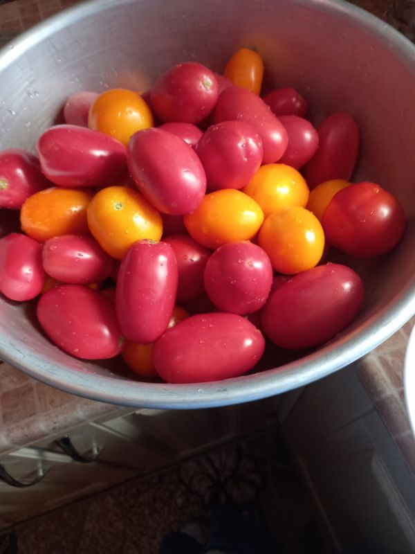 �������� ���: �������� ����� ��� ������ �������