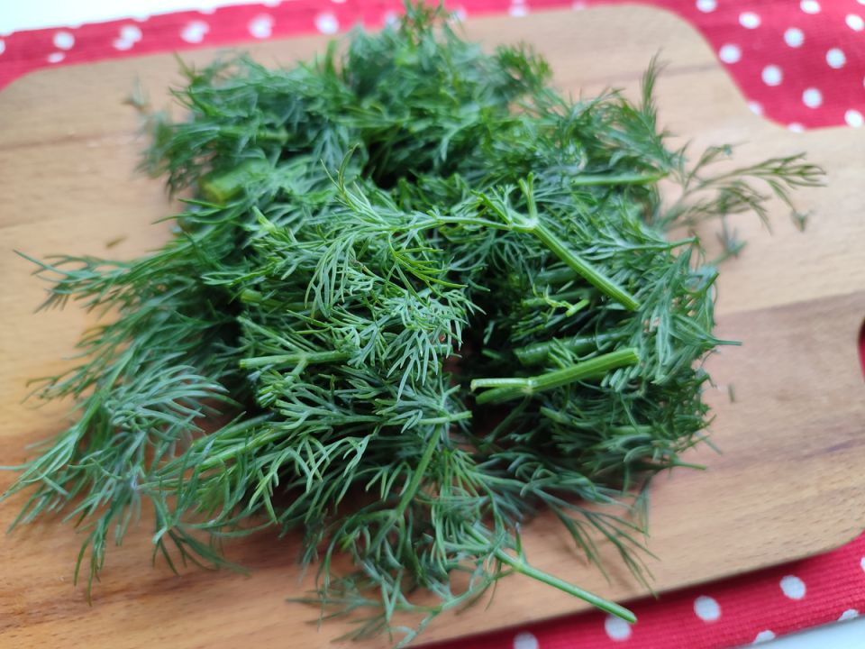 ��������� �� ����: ��� ������� ������ ����� ������ � ������