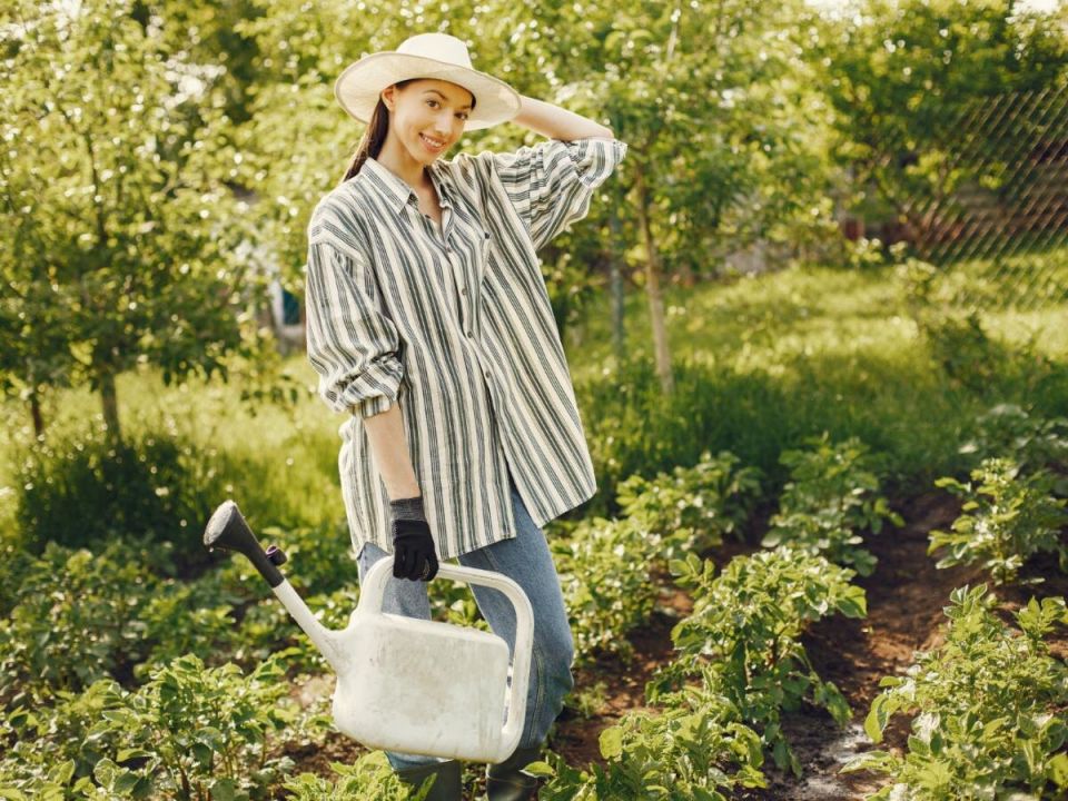 ����������� ����� ������ � ���������: �������, ������� �������� �� ���� ���