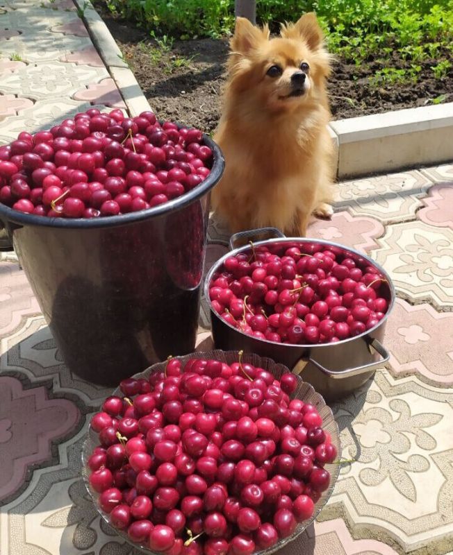 ���� � ������ �����: ������ ������� � ��������, ������� ������� ���� �������