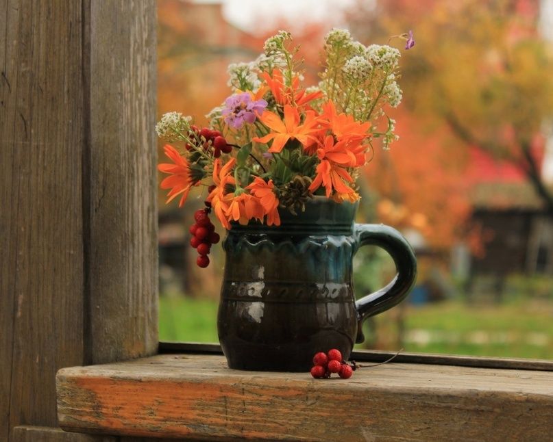 ��� �������� �������� �������� ��������: ������������� ����