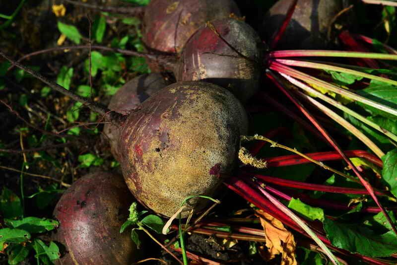 ��� ����� � ������� ������ ������ ��� �����, � ��� ��� ������ ��� �� ������