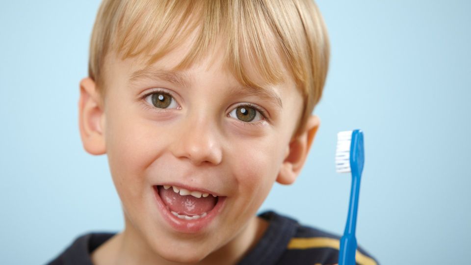 �������� �������: ���� ������ ������ ������ ����� �������