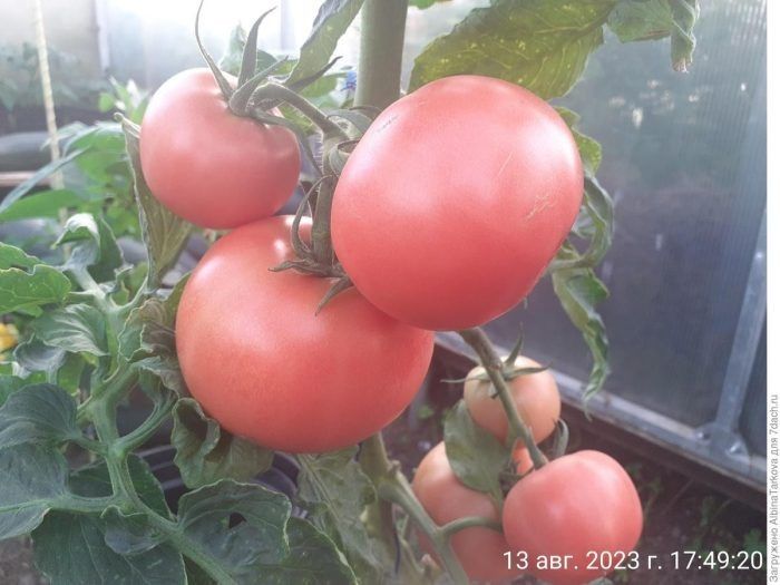 ����� ������� ������: ������������� ���� � ������������ ������ ��� ������