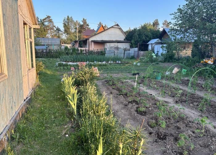 Сентябрь — идеальное время для новых посадок в саду