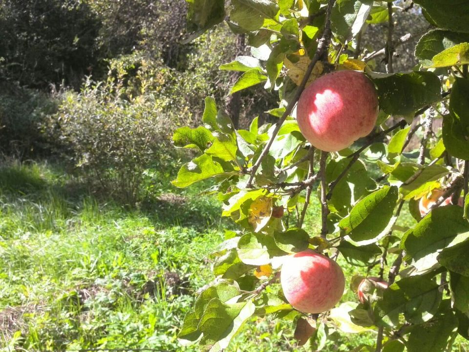 ��� ��������� ���������� ������ ������ ��� �������� ������ � ��������� ������