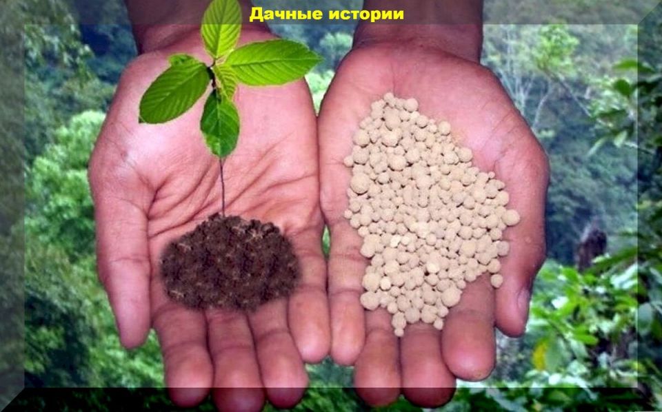 ����������� ��������� ��� ��������: ������� ��������� ������